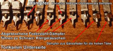 Tonkamm Daempfer 05.JPG